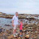 해마기획 | 부산 가볼 만한 곳 아이랑 수산과학관, 해루질 장소 추천 (아쿠아리움 리모델링, 기획 전시 안내)
