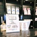 13번째고양이 | 세종 고양이카페 13번째고양이 에서 놀다 온 후기