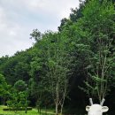 초막골생태공원 이미지