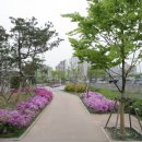 양지어린이공원 체육시설