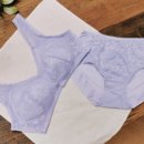 종합란제리 이미지