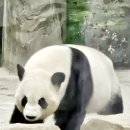 1 중국 남쪽의 소도시 &#34;샤먼&#34; 여행을 시작하면서 해프닝에 관한 소회 이미지