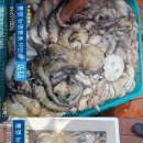 ＜＜통영 뉴명륜호＞＞삼천포 대첩!!! kg급 대왕문어!!! 쿨러넘치게^^ (토요일 8자리 예약가능) 이미지