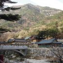 무릉계곡 이미지