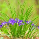 (주)우리생약 이미지