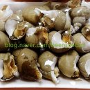 노브랜드 주문진시장점 이미지