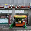 태영대박부동산공인중개사사무소 | 구리 수택동 붕어빵 맛집 위치/영업 시간