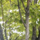 중앙안경 이미지