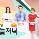 여왕벌민박 이미지