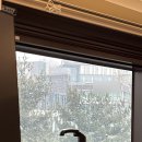 올가닉신라 | 임신 중기 중간 점검