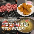 가원양꼬치 | [부평 맛집] 부평 양꼬치 맛집! 가원양꼬치에서 육즙 팡팡 숙성양꼬치랑 꿔바로우 먹고 온 후기!
