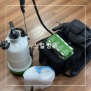 미리방지방역 | 대전방역업체 스킬방역 식당 해충 방지 및 소독 후기