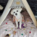 정촌로 | 8월 일상 :: 본격 먹고, 놀기!!(+제천 포레스트 리솜 후기)