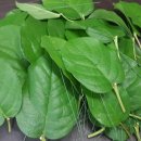 꽃수레화원 이미지