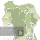 창덕궁에서 회화나무 보며 역사를 배우고 살구나무 보며 인생수업하고 왔다