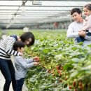 내곡동446 이미지