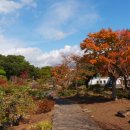 여미지식물원 이미지