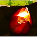 서오지리연꽃마을 이미지