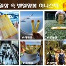 벧엘 양봉 이미지