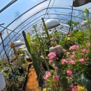 더 스테이584 이미지