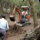 고수농장 이미지