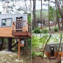 트리하우스 이미지