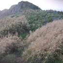 다희 민박 이미지