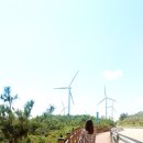 영덕읍사무소 입구 | 경북 가을 여행지 추천! '영덕 풍력발전소'에서 예쁜 커플데이트스냅 도전!!