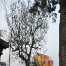 유수암리사무소[남] 네이버블로그