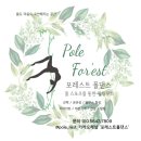 포레스트폴댄스사가정점 | 강동 폴댄스학원 추천 :: 포레스트 폴댄스 강동천호점 후기