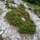 고성사방댐 이미지