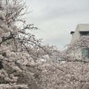 경민축산 | 꿈은 도망가지 않아 도망가는 건 언제나 자기 자신이지