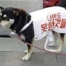 라벨르의원 이미지