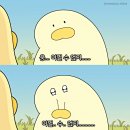 후즈 | [강남 방탈출] 후즈데어 - 괴록 후기 : 치치야.... 행복만 하자.... 기대컨 성공 빠밤