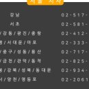 대성태권도장 이미지
