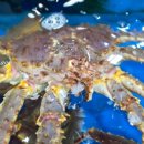 신수시장 이미지