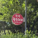 대바우가든 이미지