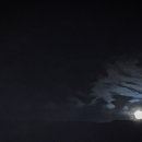 스테이 자이언 이미지