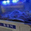 뚝방산꼼장어 이미지