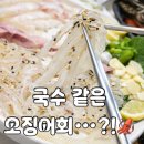 완도회집 | 구미 진평동 횟집 완도횟집 | 국수 같은 오징어회 이거 찐이다