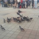 국도관광 이미지
