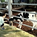 수환농장 이미지