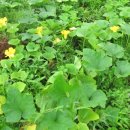 반갑소농장 이미지