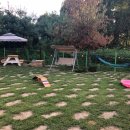 멍사무소 이미지