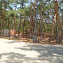 월송정매점 이미지