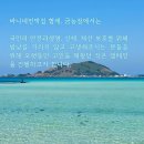 바니네민박집 네이버블로그