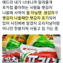 대부분 모르는 포카칩의 비밀 이미지