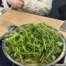 얼큰이 시원이 이미지