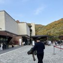 경충대로 13 | 화담숲🍂도보코스로 2시간, 11월 단풍 후기, 모노레일 구간 및 승강장 위치