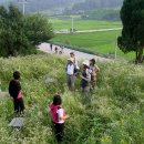 영원부원군묘 이미지